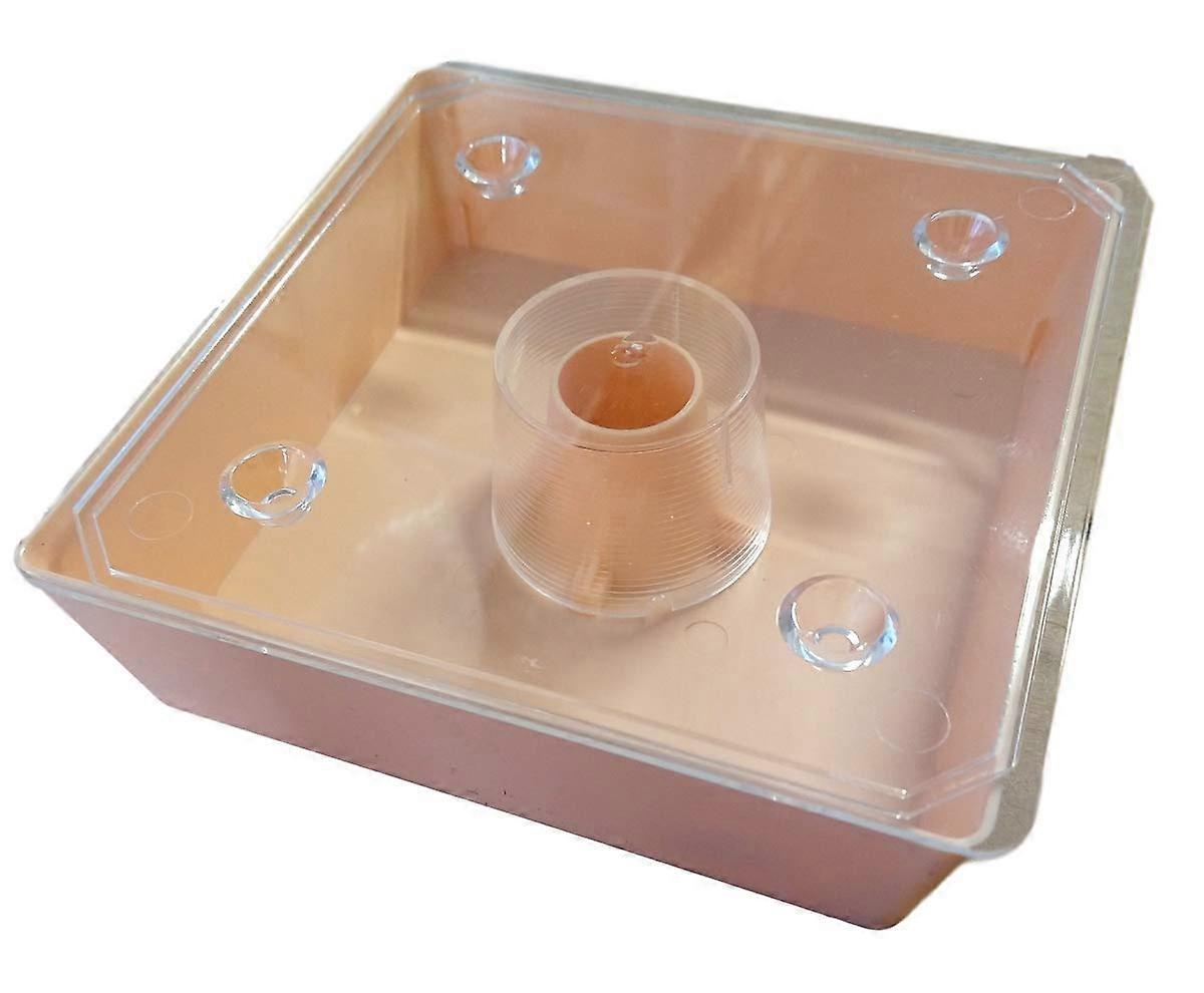 Ltd Rapid Feeder for Beehives 1.5L Square Strong Plastic Hive Feeder 185mm x 185mm x 55mm Compatible with Standard Beekeeping Equipment