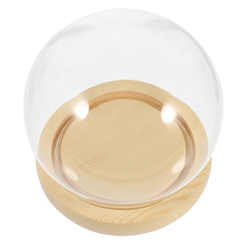 Clear Glass Dome Display Case for Preserved Flower with Wood Base
