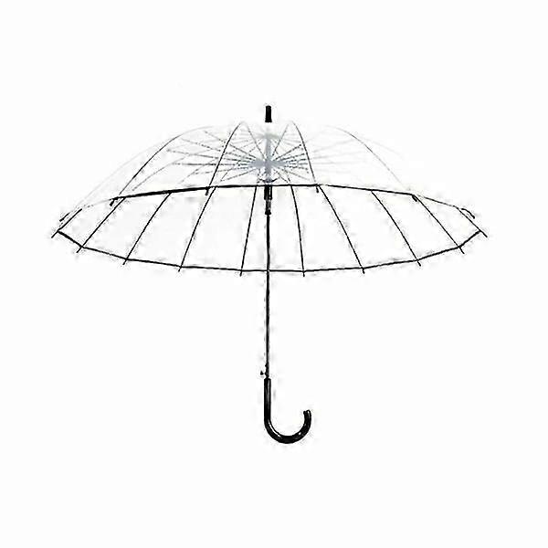 Transparent Umbrella