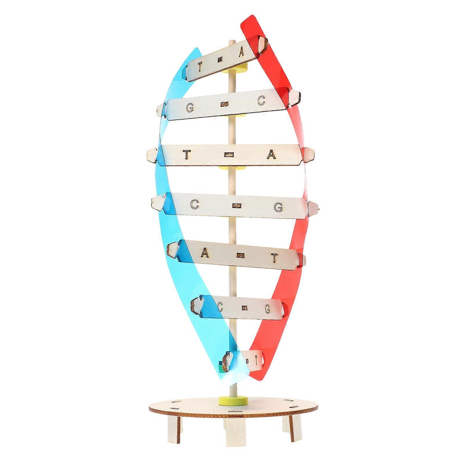 Dna DIY Double Helix Model Educational Science Toy for Kids 1Set