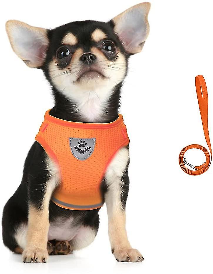 Dog Harness And Leash Set