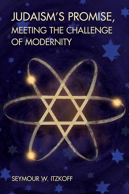 Judaisms Promise Meeting The Challenge Of Modernity by Seymour W. Itzkoff Paperback Book