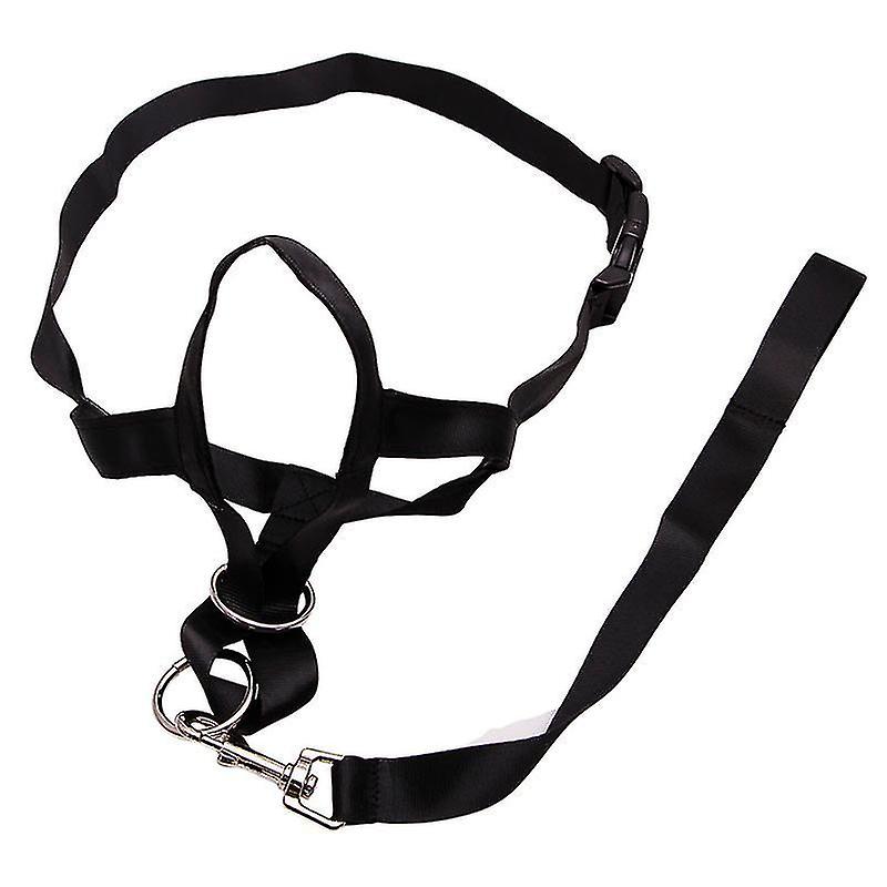 Dog Free Training Guide Easy To Use Stop Pull Halter Stops Pulling