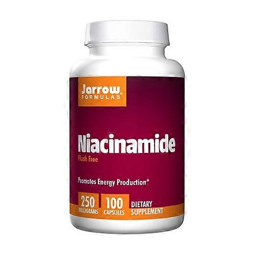 Niacinamide 250 mg Flush Free 100 capsules