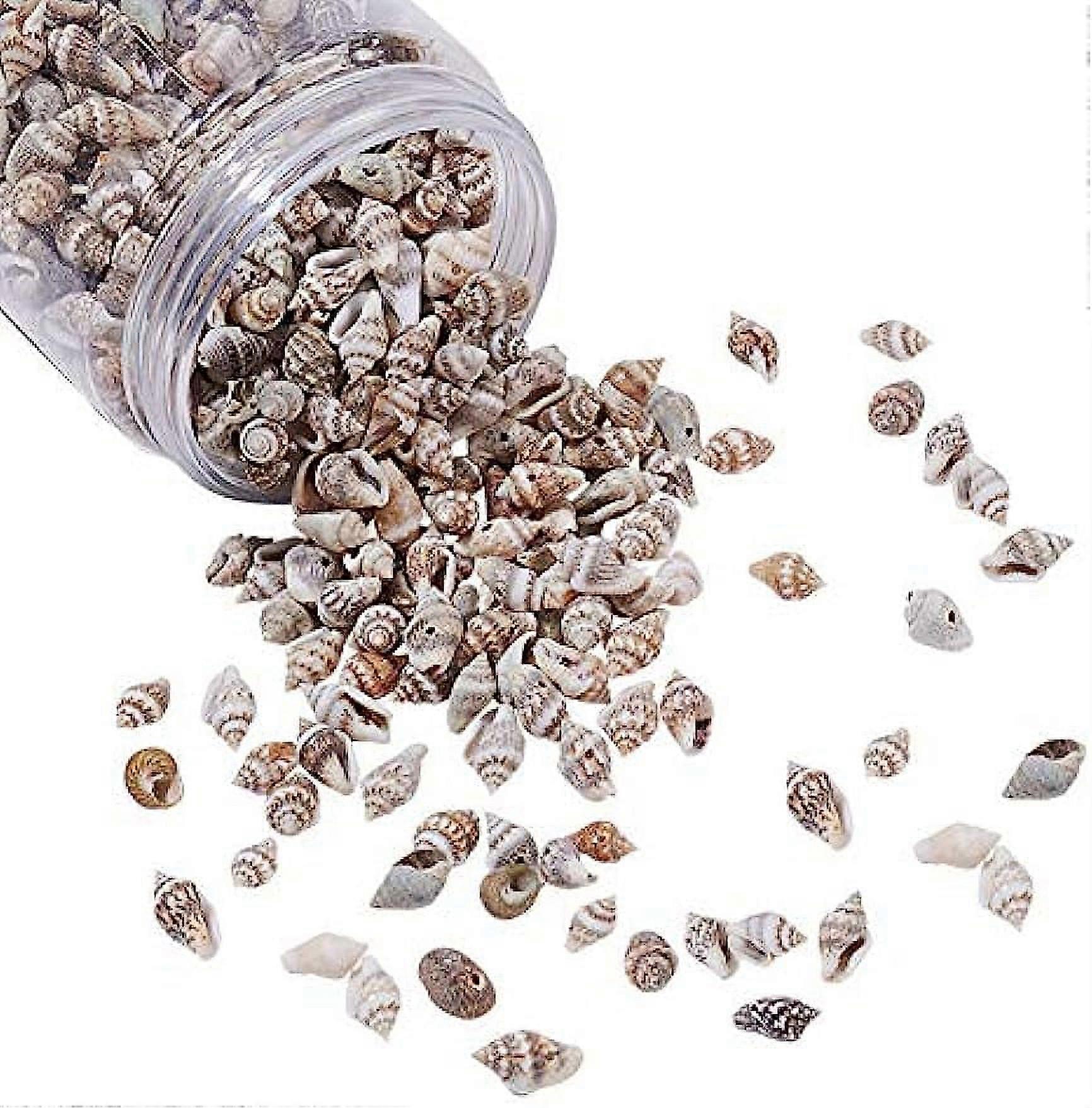 480 Pcs 13-19mm Tiny Sea Shell Ocean Beach Spiral Seashells Craft Charms
