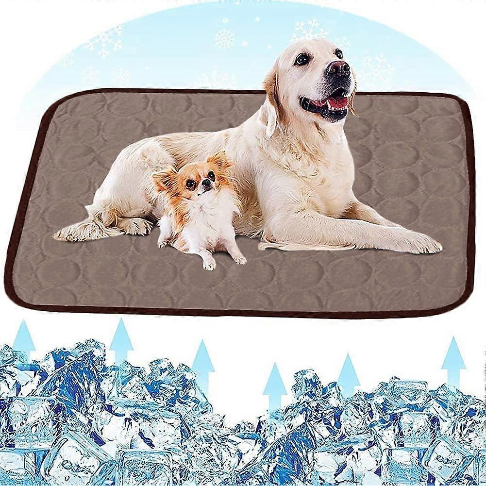 All In Cooling Mat Washable Non-Slip Soft Dog Mat for Pets Summer (55 x 70 cm Blue)