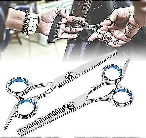 H Cutting 6.5 Inch Hing Thinning Barber Scissors Set H Cutting Shear