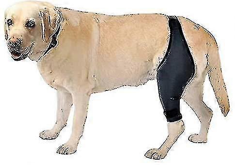 Dog Knee B For Yaw, Dislocated , Arthritis - Keeps Warm