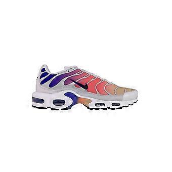 Shoes Nike Air Max Plus Tn Platinum DZ3670003