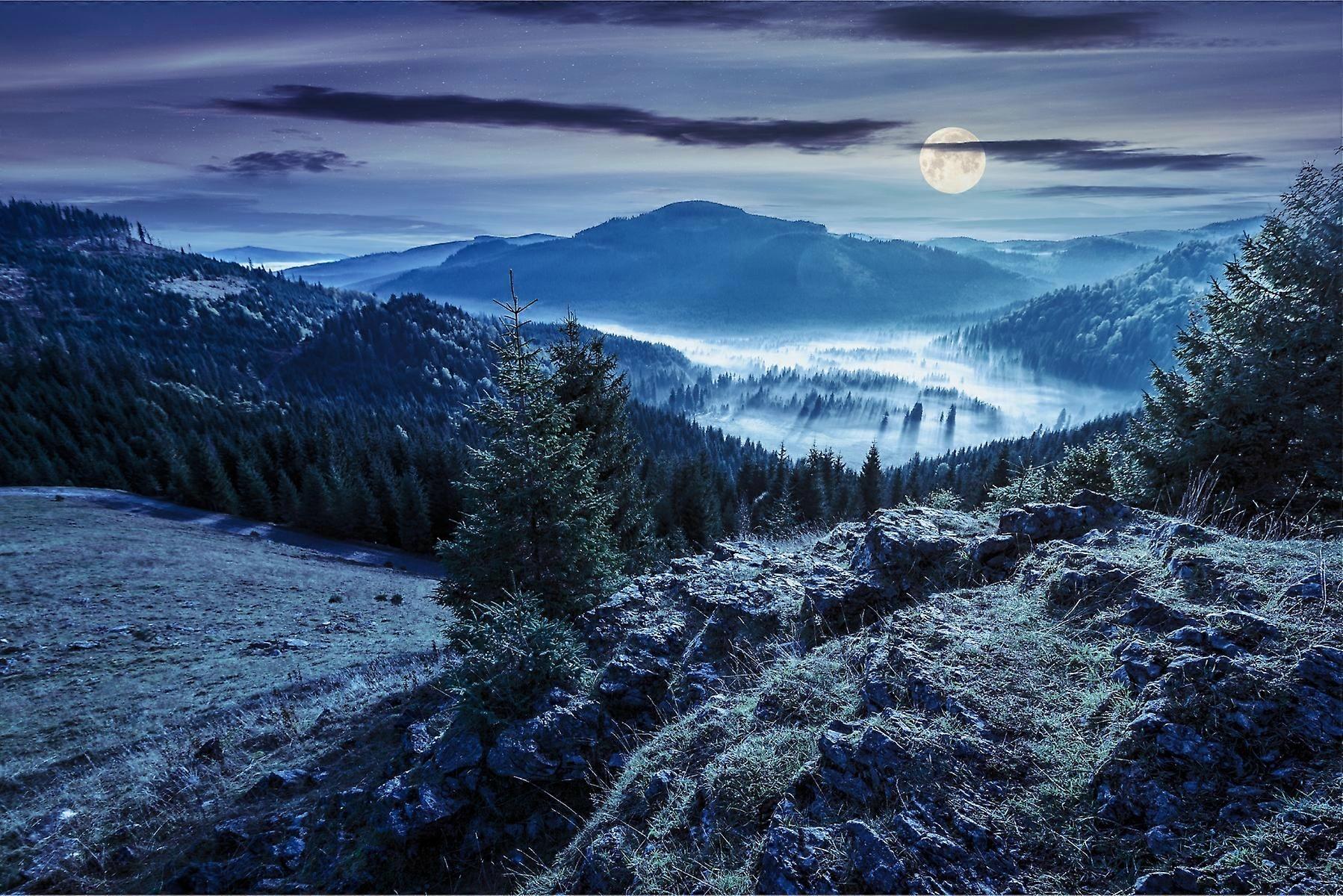 Sovrum väggmålning Berg landskap skog i dimman