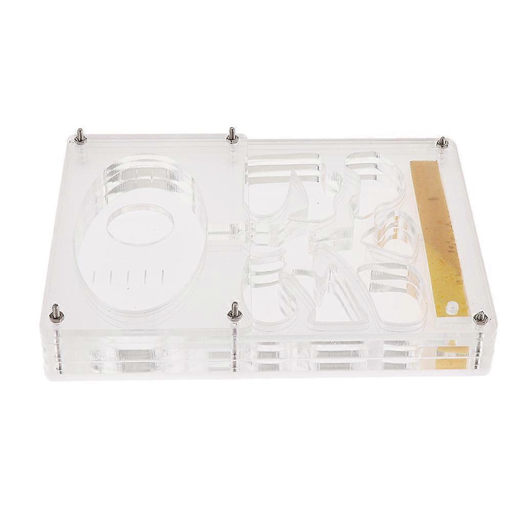 Durchsichtiges Ameisengehäuse Acryl Nest Ameisenfutter Farm Formicarium Box 13 x 10 x 2cm