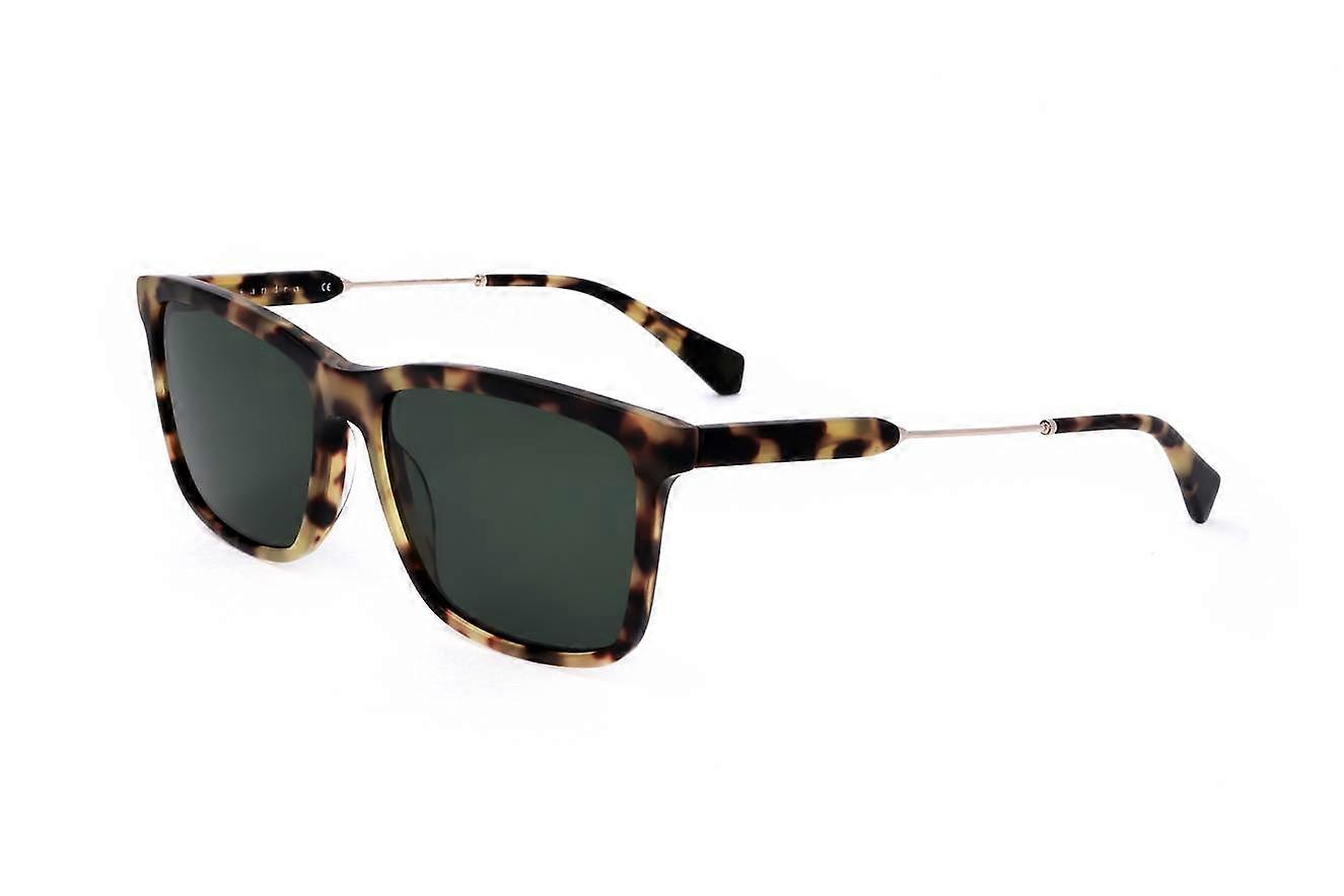 Sunglasses Sandro SD1009 206 ECAILLE 56/16/145 MAN