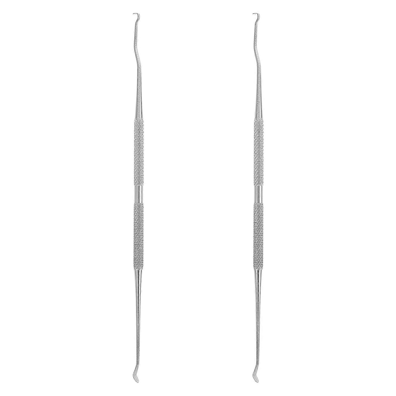 2pcs Double Head Stainless Steel Grafting Needles Dual Purpose Insect Removal Needles (Silver)