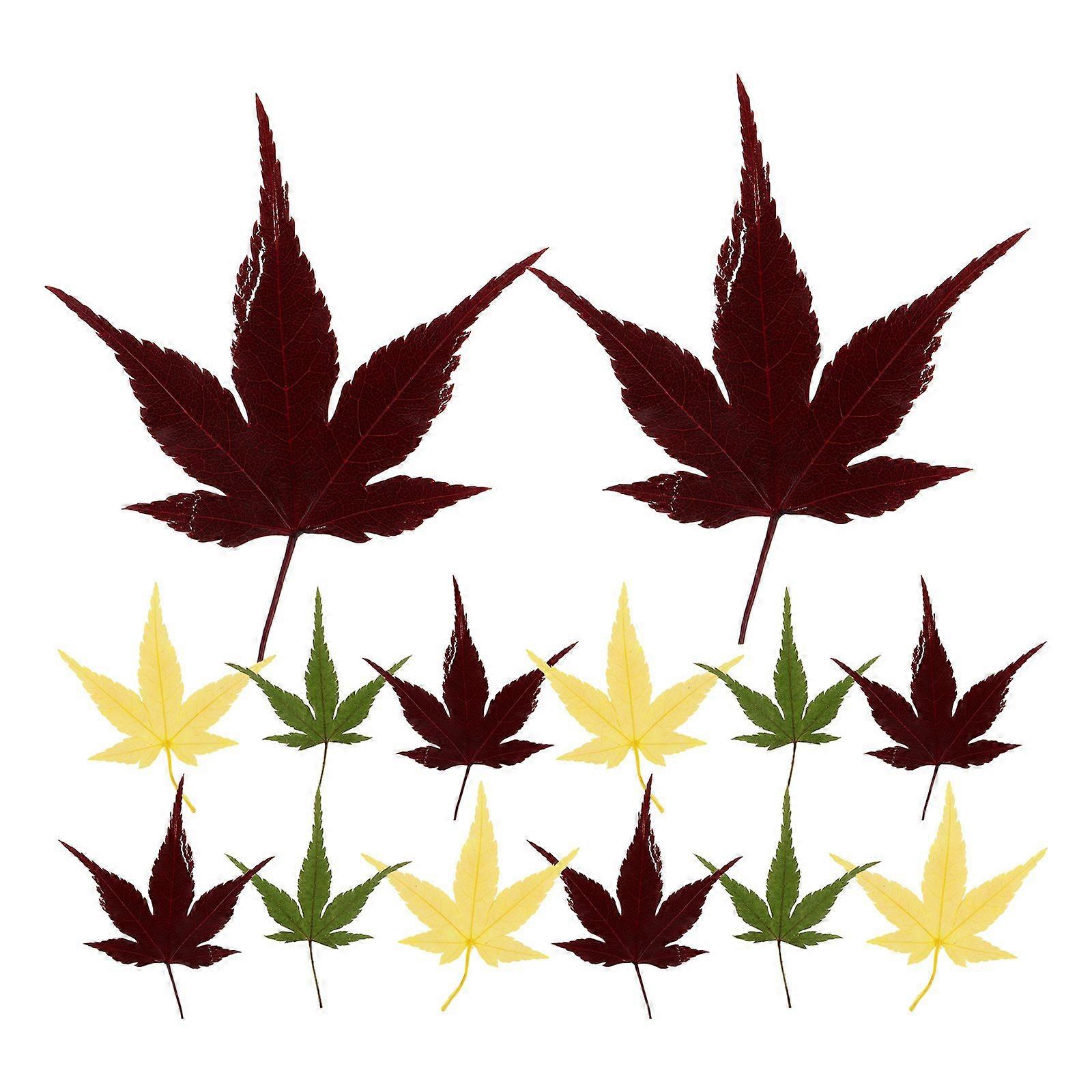 30pcs Sushi Maple Leaf Sushi Dish Decorative Maple Leaves Sashimi Decor Leaf