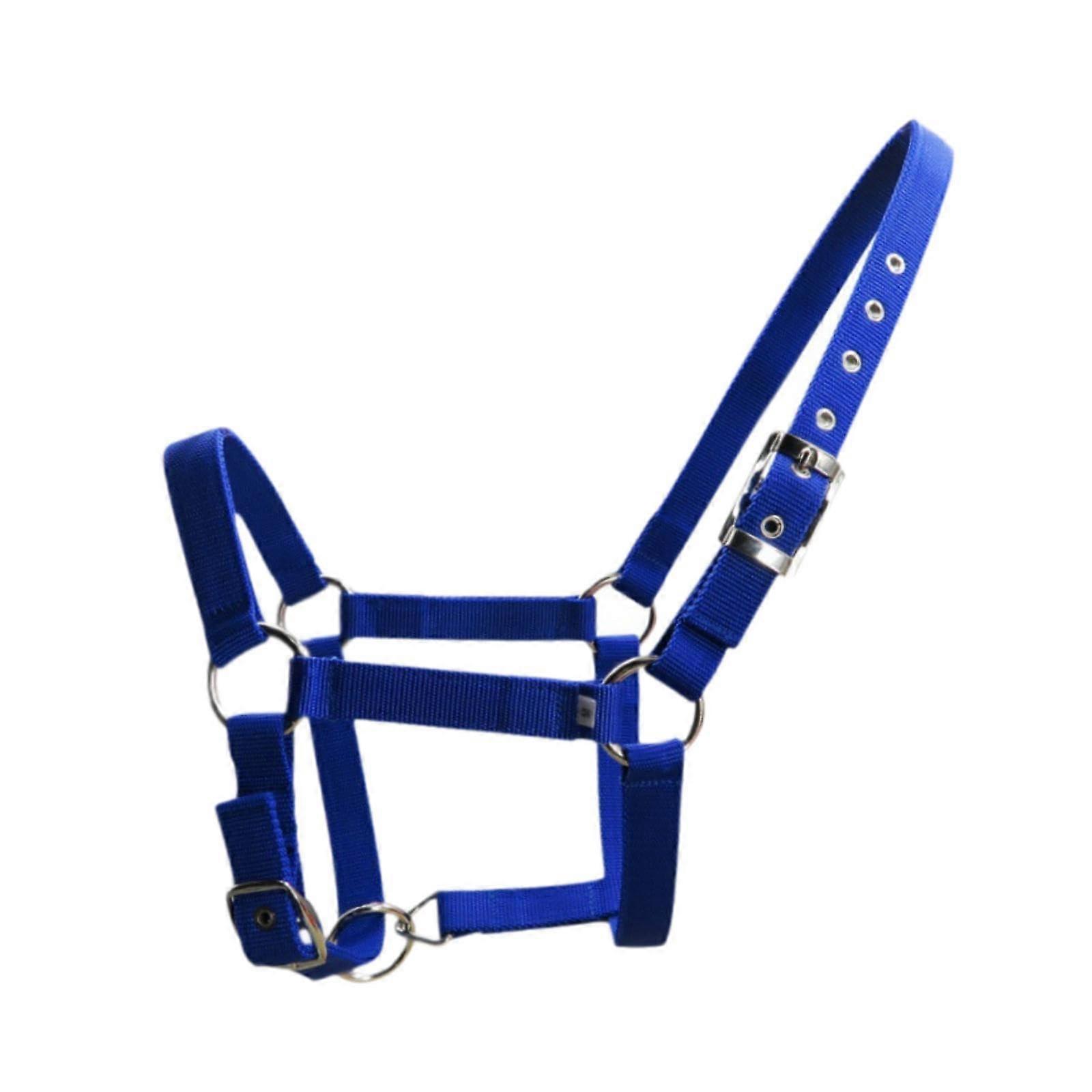 Adjustable Horse Head Collar Blue  Riding Head Collar For Horses