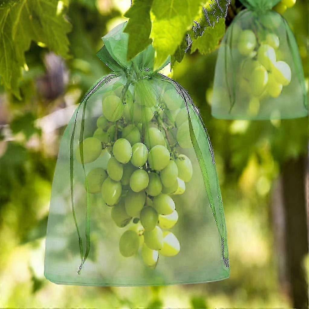 100pcs Mesh Bags with Drawstring for Fruit Protection Against Birds 30x20cm & 23x17cm