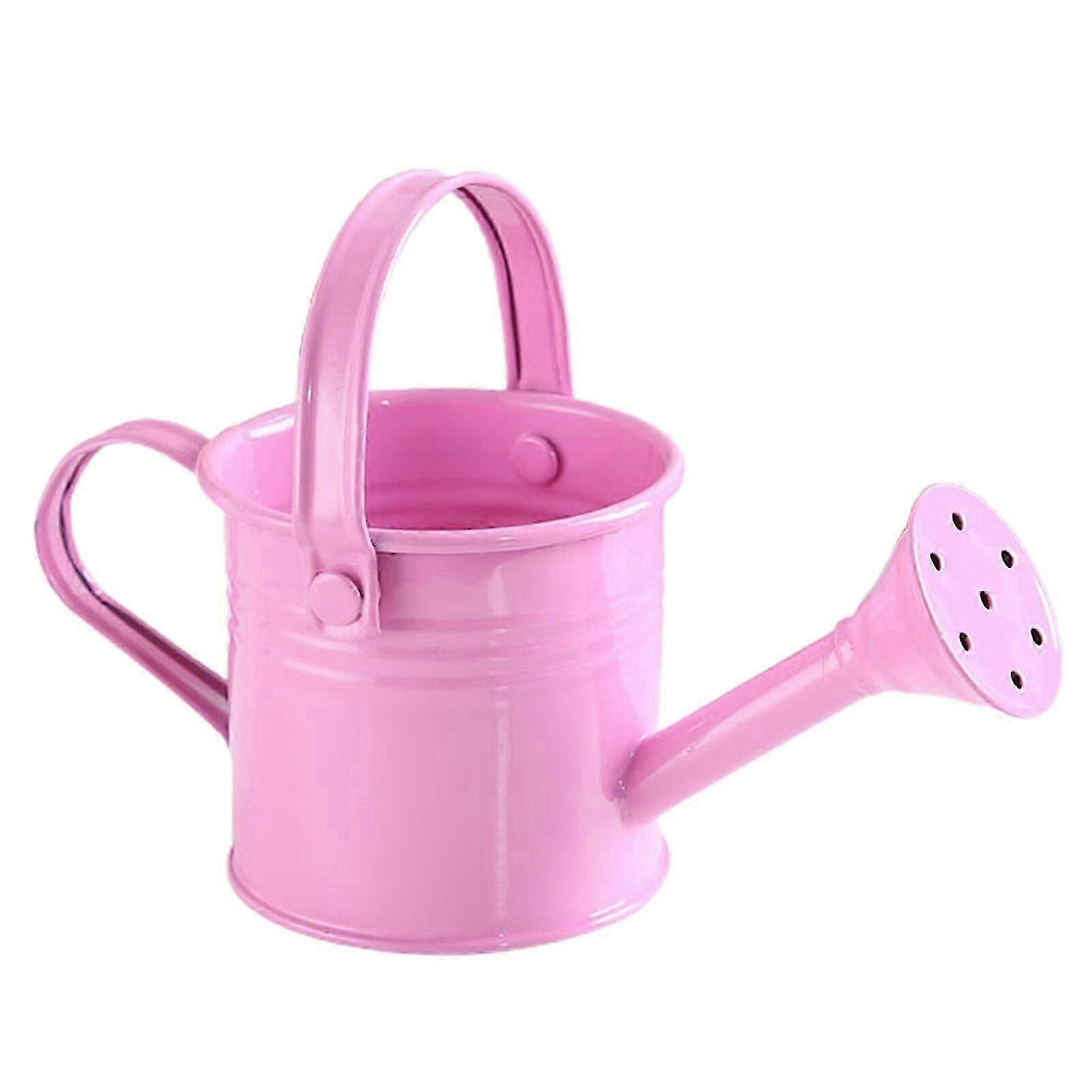 Portable metal watering can with long spout for gardening