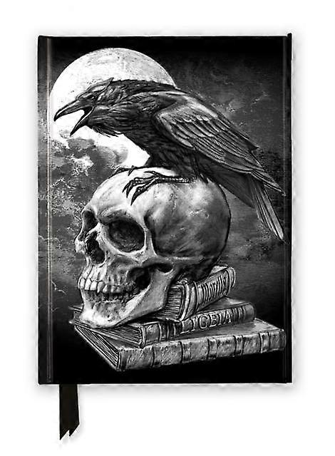 Alchemy Poes Raven Foiled Journal Notebook  blank book Book