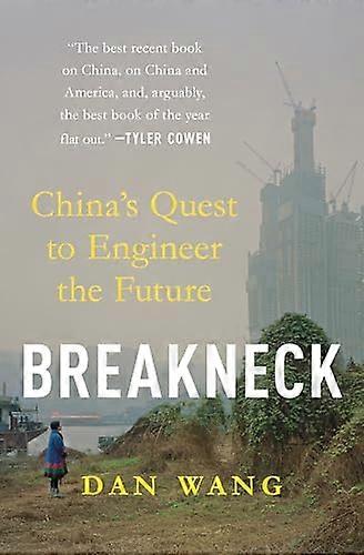 Breakneck: Chinas Quest to Engineer the Future