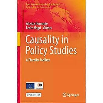 Causality In Policy Studies A Pluralist Toolbox - Springer Nature B.V
