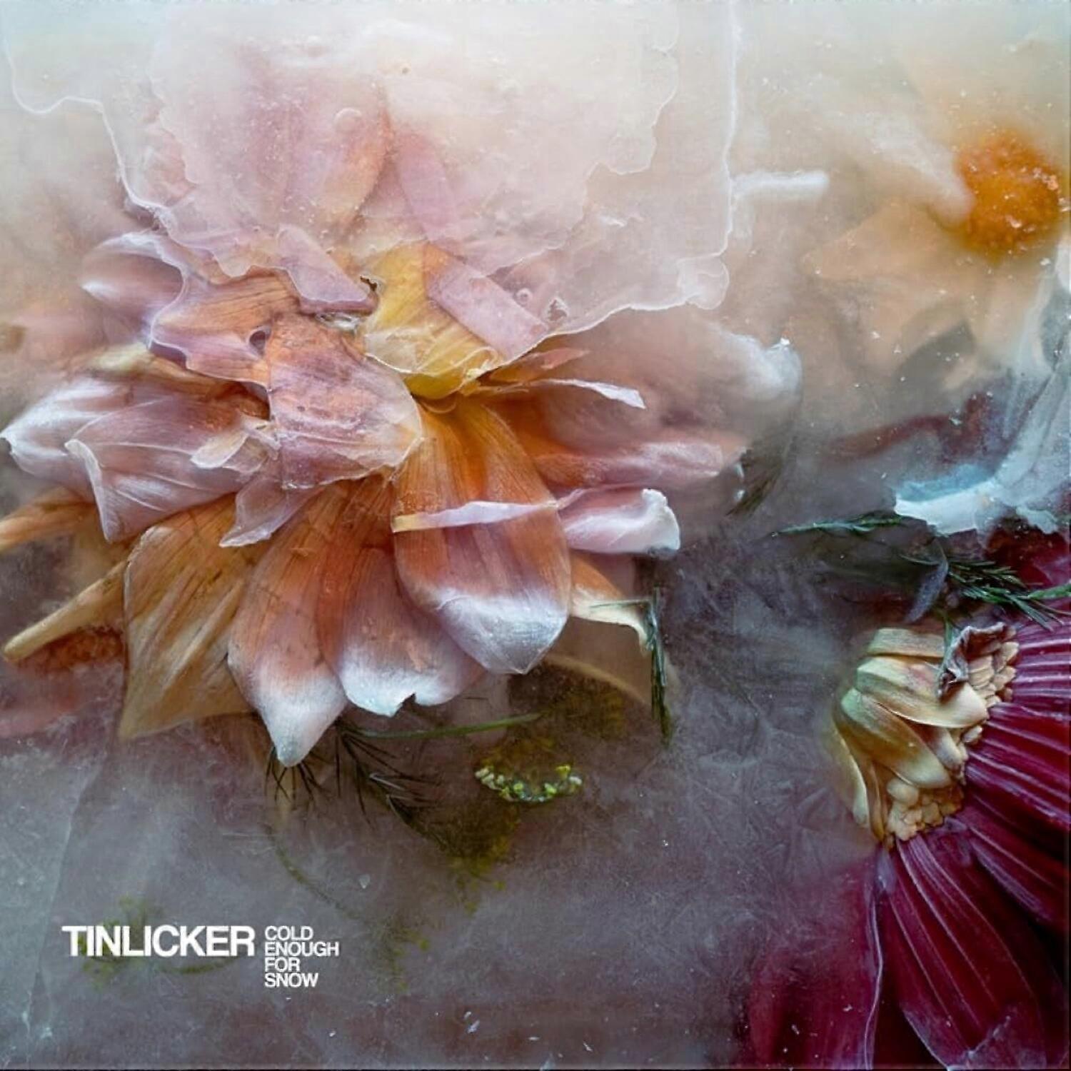 Tinlicker - Cold Enough For Snow [COMPACT DISCS] Import uit de VS