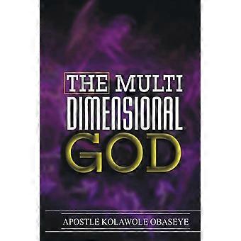 Multi-dimentional God - Kolawole Obaseye - Paperback - en Book