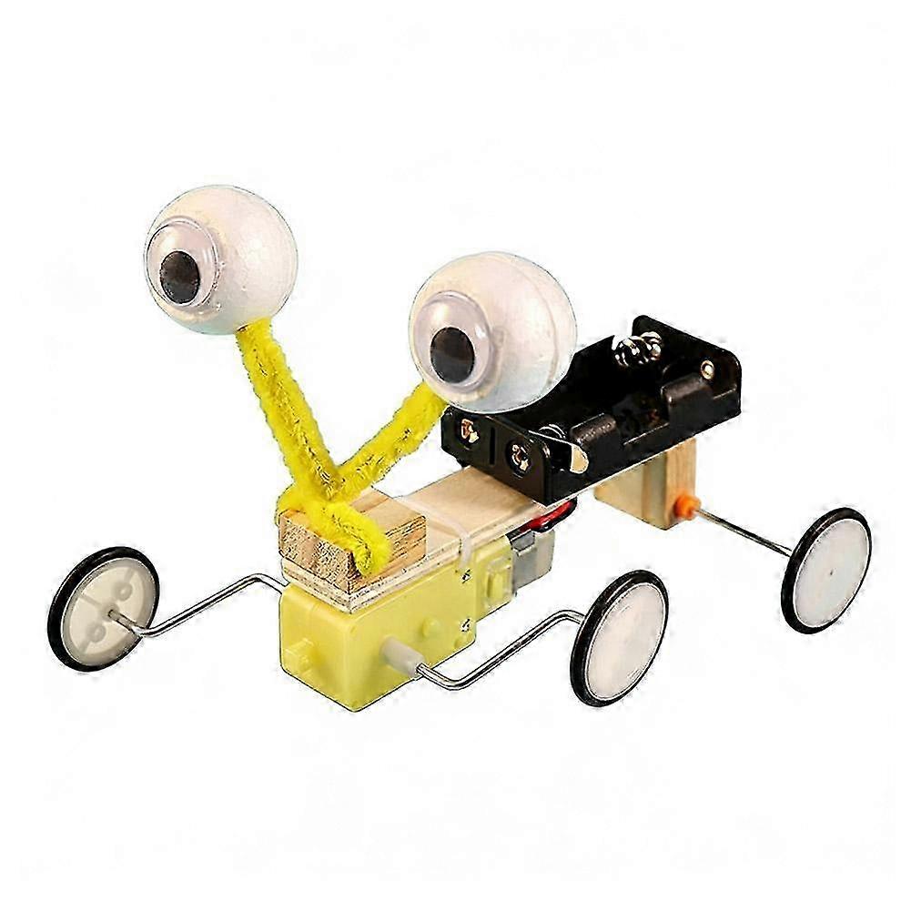 Wooden Crawling Reptile STEM Kit