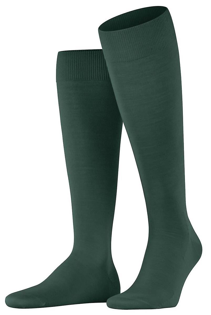 Falke Climawool Knee High Socks - Hunter Green