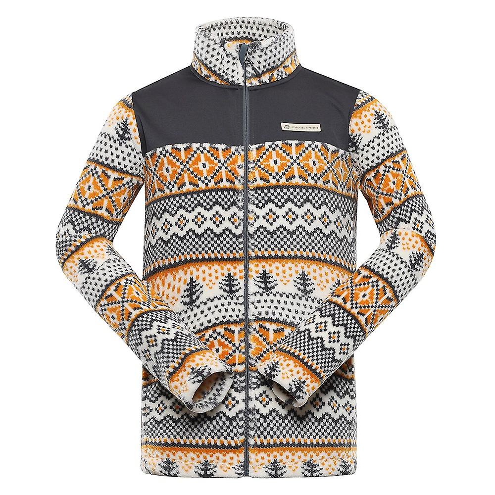 Hoodie Alpine Pro EflinMSWB334779PB