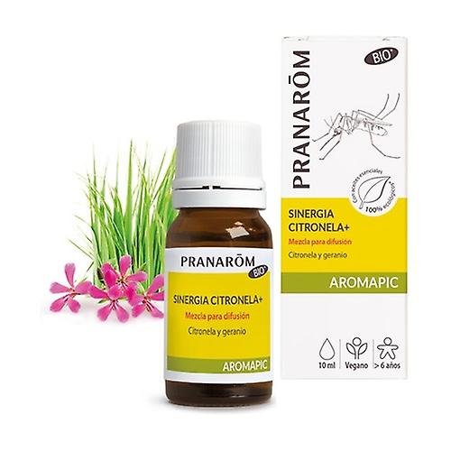 Synergy Citronella + Bio 10 ml (Eucalyptus - Lemon - Lavender - Ginger)
