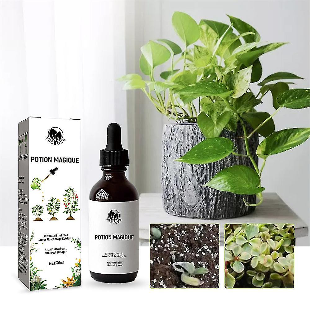 Yegbong Indoor Plant Leaf Nutrition Solution Organic Leaf Fertilizer Indoor Plant Nutrition Solution