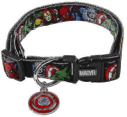 Adjustable Training Dog Collar For A Firm Fit