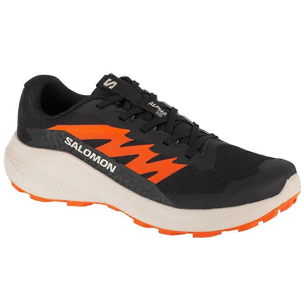 Shoes Salomon Alphaglide L47801100