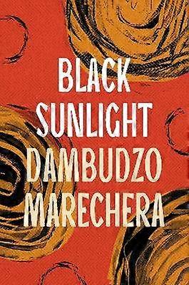 Luz solar negra