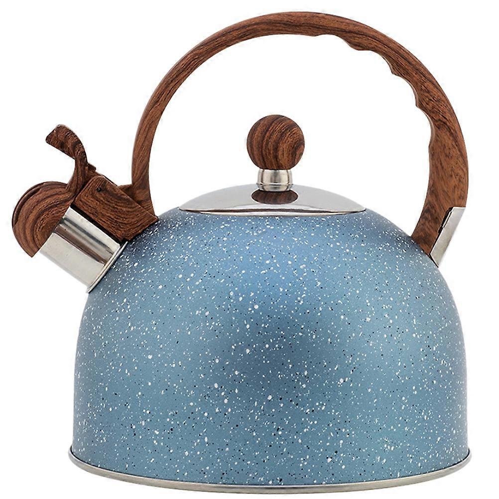 Household Stainless Kettle with Large Opening, Quick and Safe Water Refill