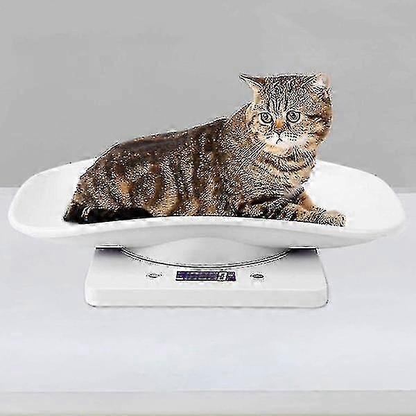 Νέα μοντέλα Μικρή ψηφιακή ζυγαριά κατοικίδιων ζώων με ακρίβεια 10kg/1g για ακριβή μέτρηση κατάλληλη για διάφορα μικρά ζώα