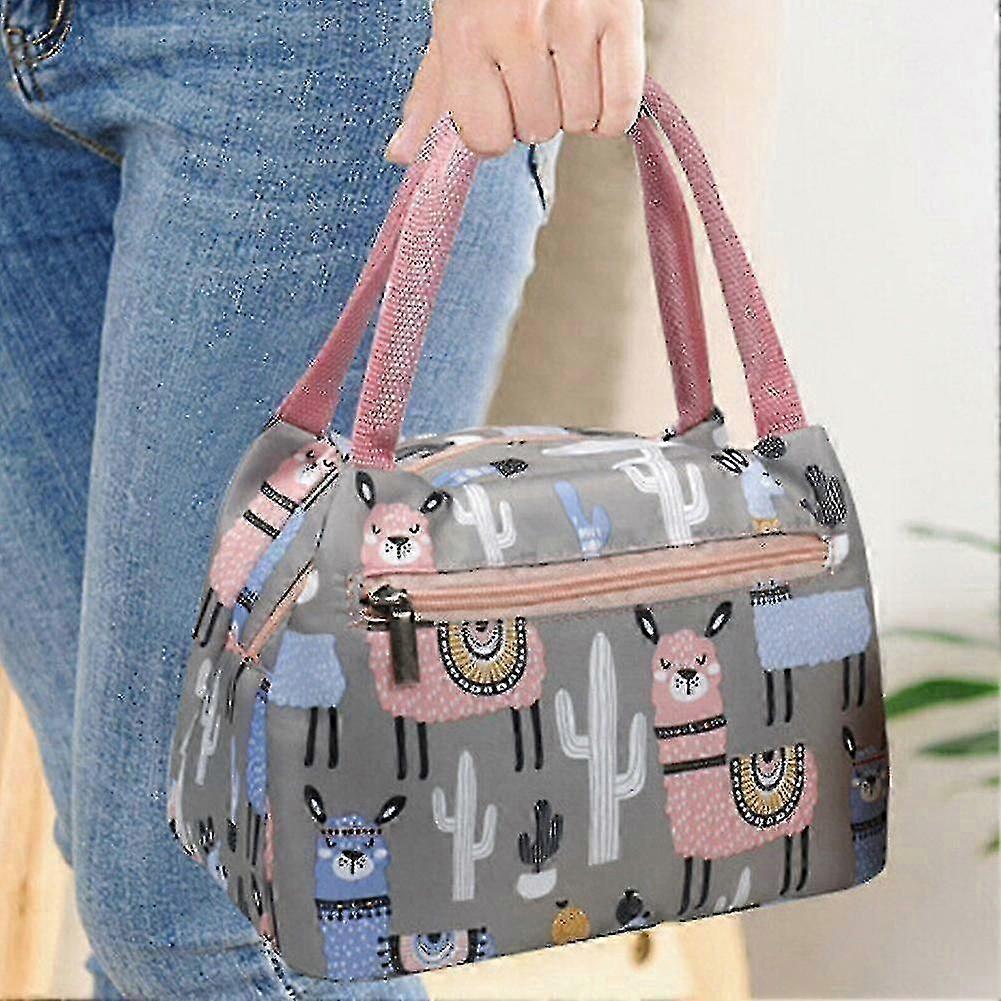 Thermal Insulated Lunch Bag Cool Bag for Picnics Suitable for Adults and Kids Food Storage Box