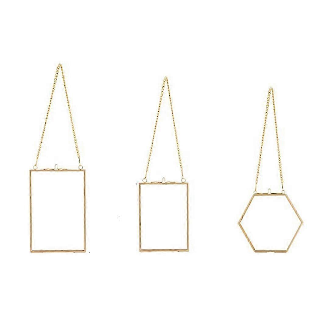 3 Packs Pressed Flowers Glass Frames- Hanging Glass Frames with Chain Floating DIY Artwork Display