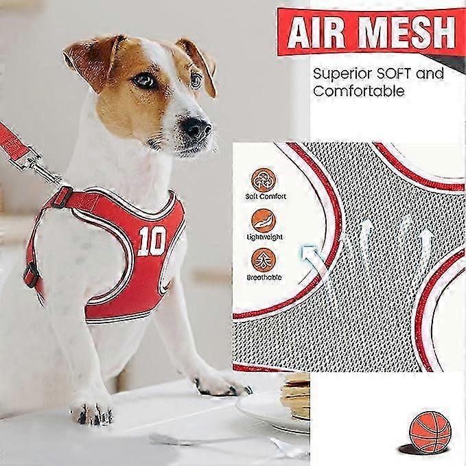 Dog Harness and Leash Set, Adjustable Step in Pet Vest Harness Soft Easy Walk, No Chock Puppy Harness for Small Medium Dogs