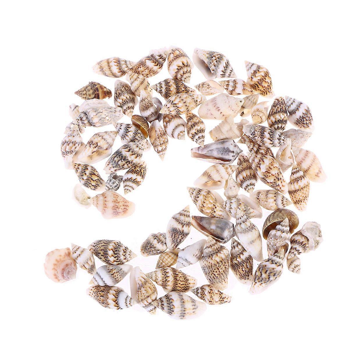 250pcs Natural Seashells for Home Decor, Crafting & Aquariums – Miniature Beach Shells in Vivid Colors for DIY Projects