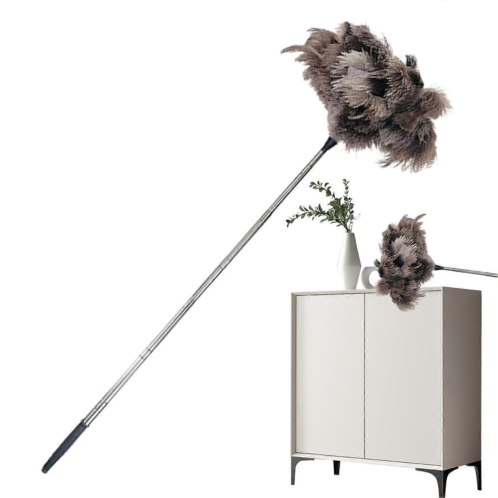 Extendable Duster, Hand Dust Mop with 100 cm Telescopic Rod, Electrostatic Duster with Long Handle for Fan Cleaning Cobweb Removal Furniture