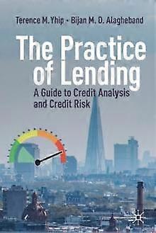 The Practice Of Lending by Bijan M. D. Alagheband Paperback