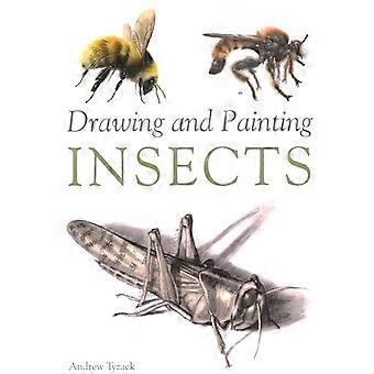 Drawing and Painting Insects
