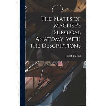 The plates of maclise's surgical anatomy, with the descriptions