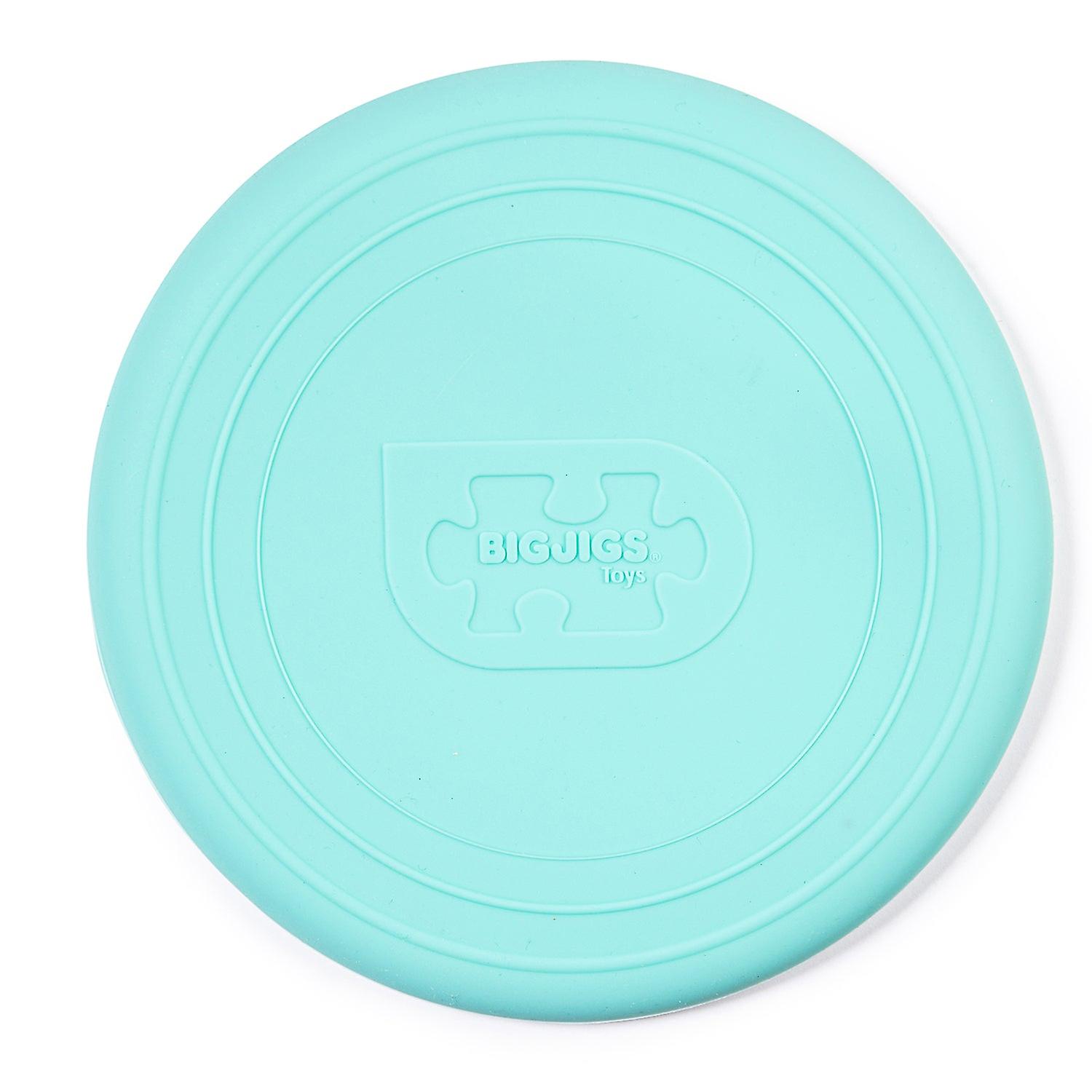 Eggshell Green Silicone Foldable Flyer