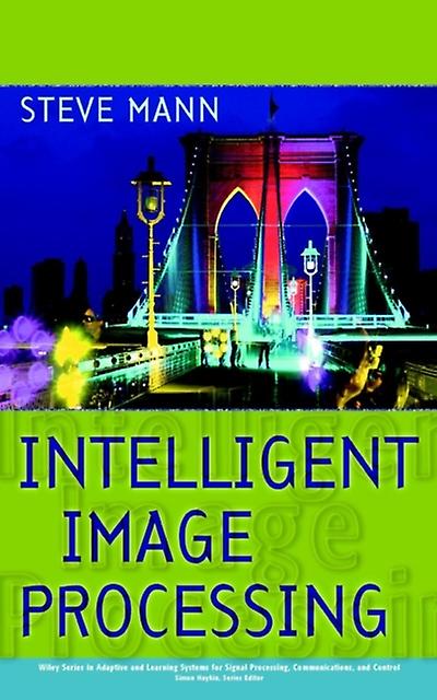Intelligent Image Processing by Mann Paperback Book