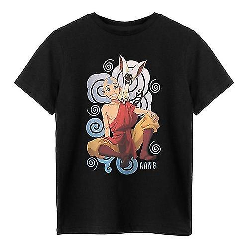 Avatar: The Last Airbender Childrens/Kids Aang & Momo T-Shirt