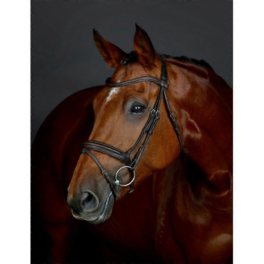 Collegiate Comfitec Opulux Plain Padded Hanoverian Flash Bridle