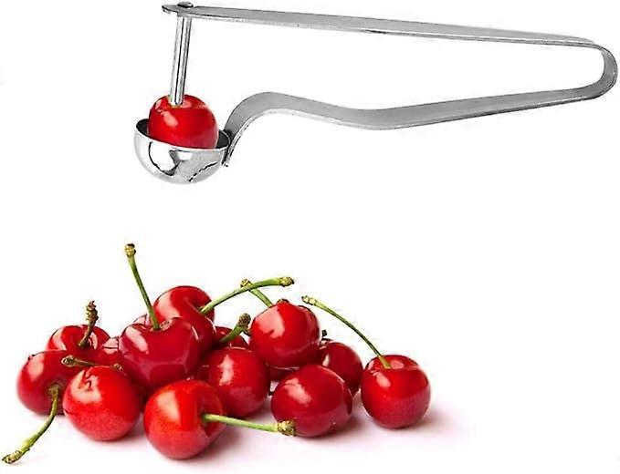 Pitters, Steel Red Dates Remover Tool Cherry Pitting Tool Red Dates Corer Fruit Pitter Device Stainless Silver 16cm