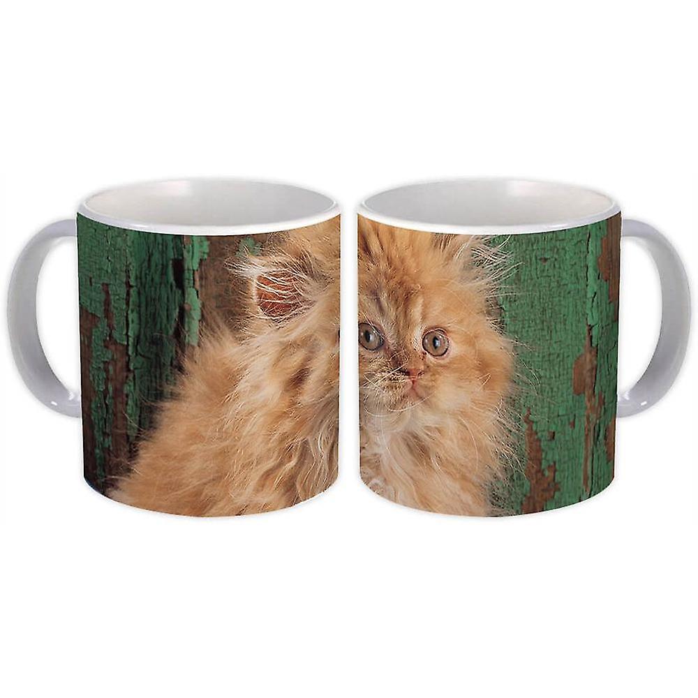 Gift Mug: Cat Animal